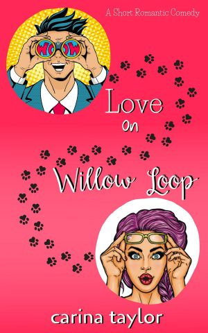 [Fake It 0.5] • Love on Willow Loop